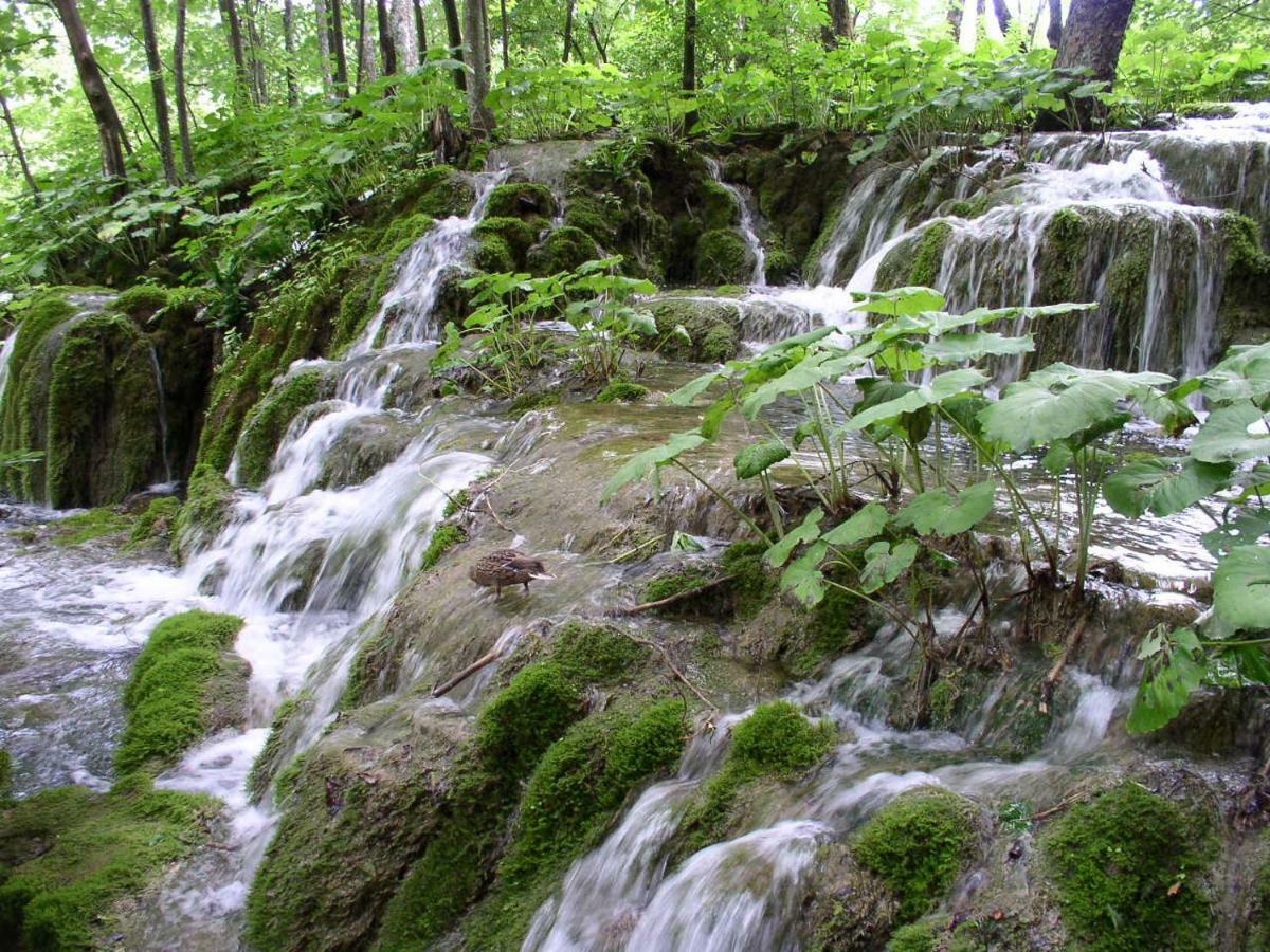 Accommodation Plitvice Кореница Екстер'єр фото
